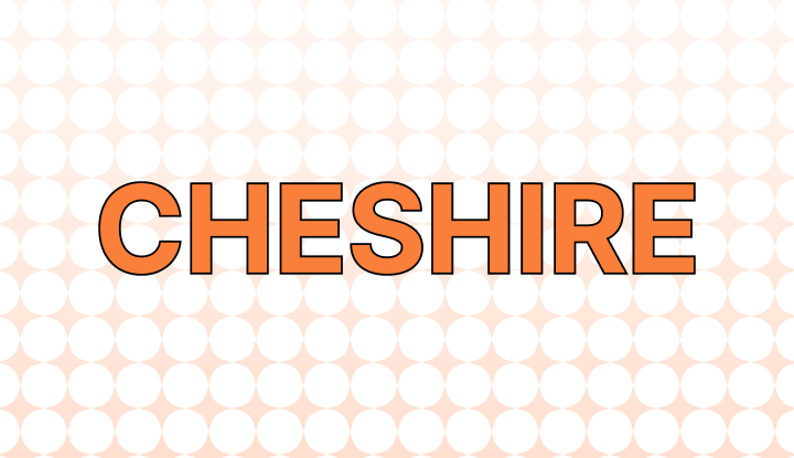 Cheshire 뜻과 예시