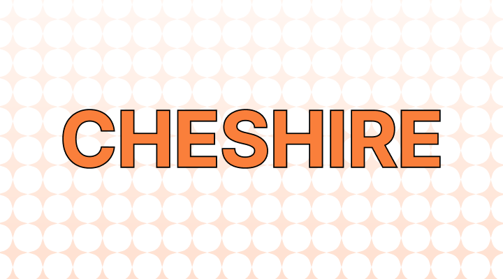 Cheshire 뜻과 예시