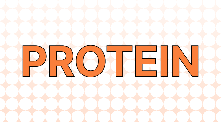 단백질 영어로 (Protein 및 예시 문장)