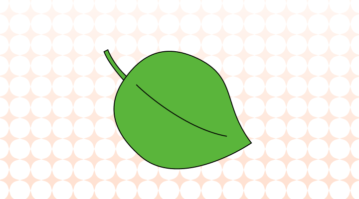 깻잎 영어로 (Perilla leaves 및 예시 문장)