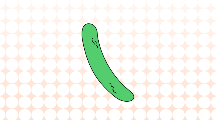 오이 영어로 (Cucumber, Cuke 및 예시 문장)