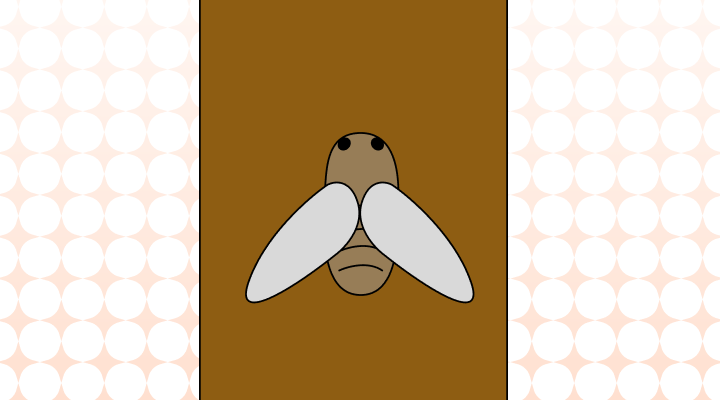 매미 영어로 (Cicada 예시 문장 및 다양한 곤충을 영어 표현)