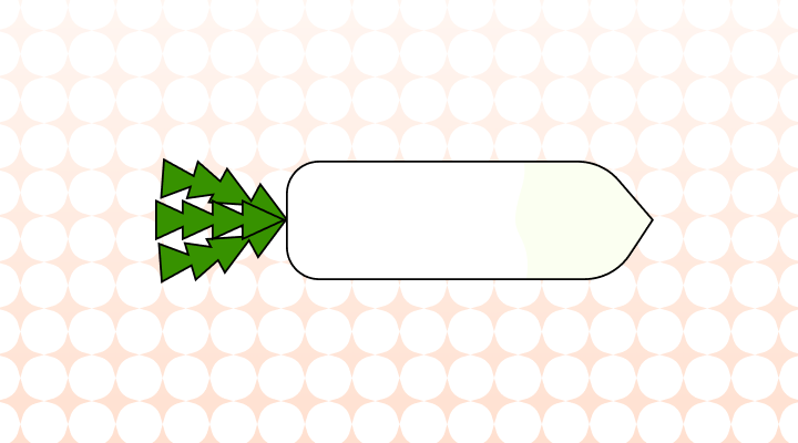 무 영어로 (Daikon, Radish 차이와 뜻)