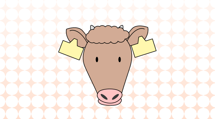 소 영어로 (Cow, Bull, Cattle, Ox 차이와 뜻)