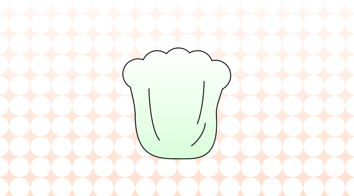 배추 영어로 (Cabbage, Napa Cabbage, Kimchi Cabbage,  Wombok 차이와 뜻)