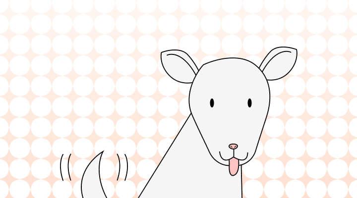 개, 강아지 영어로 (Dog, Puppy, Mutt, Canine, Doggo 차이와 뜻)