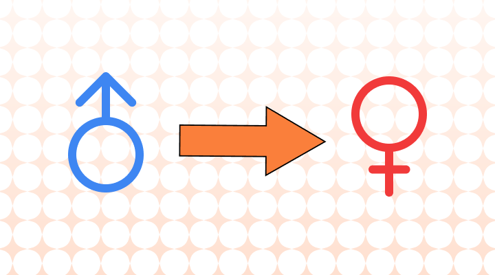 트랜스젠더 영어로 (Transgender, Transsexual, FtM, MtF 차이와 뜻)