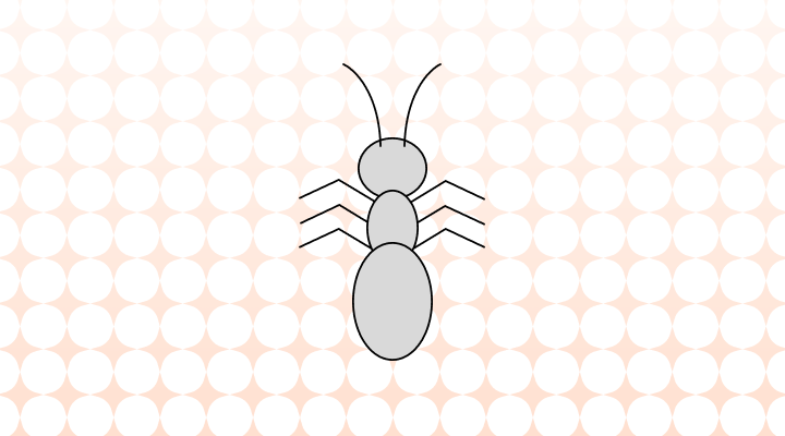 곤충 영어로 (Insect, Bug 차이와 뜻)