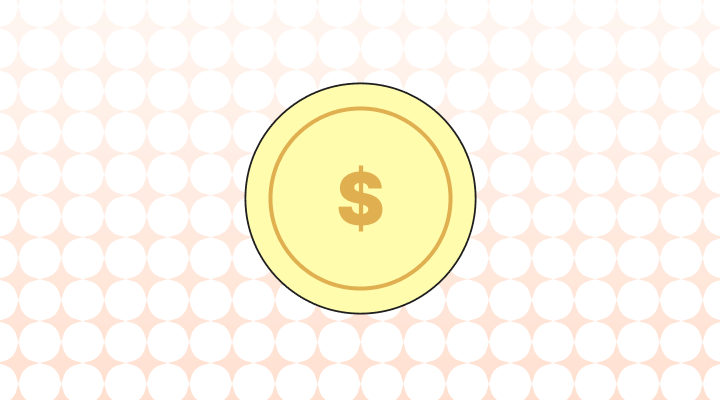 Budget 뜻과 예시