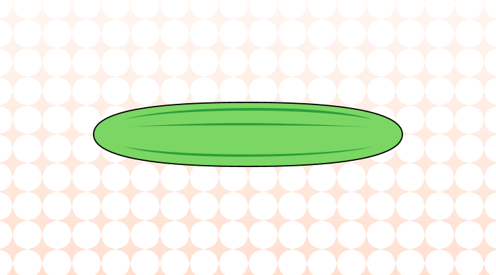 애호박 영어로 (Korean Zucchini, Zucchini, Courgette 차이와 뜻)