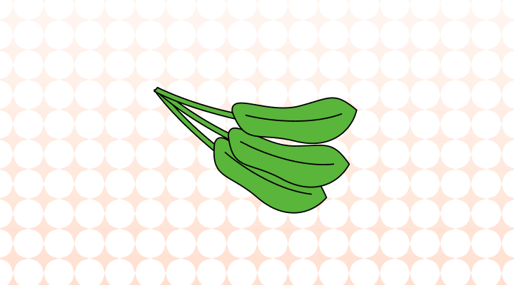 시금치 영어로 (Spinach, Spinacea Oleracea 차이와 뜻)