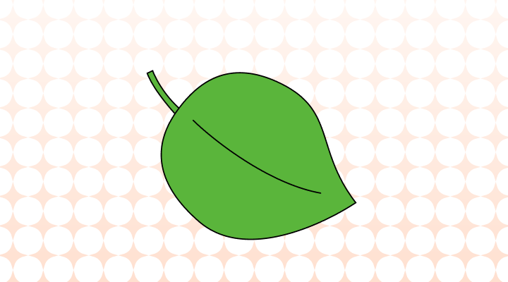 식물 영어로 (Plant, Vegetation, Flora 차이와 뜻)