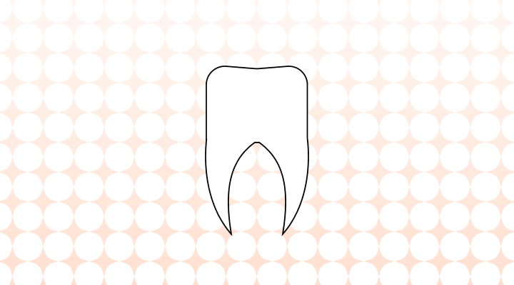 치과 영어로 (The Dentist, The Dentist's Office, Dental Clinic, Dentistry 차이와 뜻)