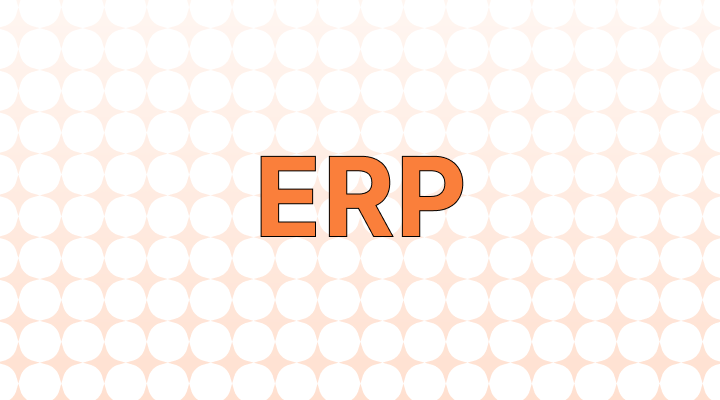 ERP 뜻(전사적 자원 관리 등), 예시, 관련 표현(BPM, VRS)