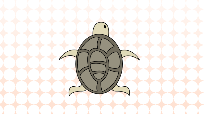 거북이 영어로 (Turtle, Tortoise, Cooter 차이와 뜻)