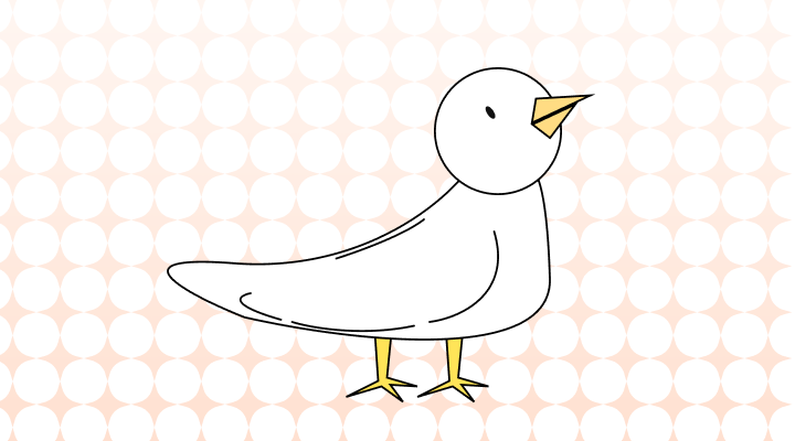 갈매기 영어로 (Seagull, Gull 차이와 뜻)