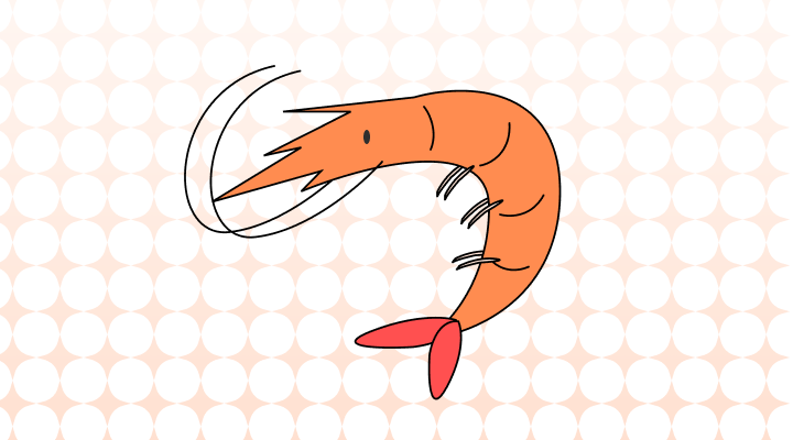 새우 영어로 (Shrimp, Prawn 차이와 뜻)