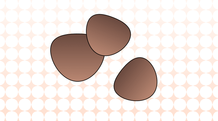 밤 영어로 (Chestnut,  Sardian Nut 차이와 뜻)